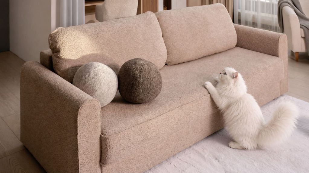 кот и Магни.jpg